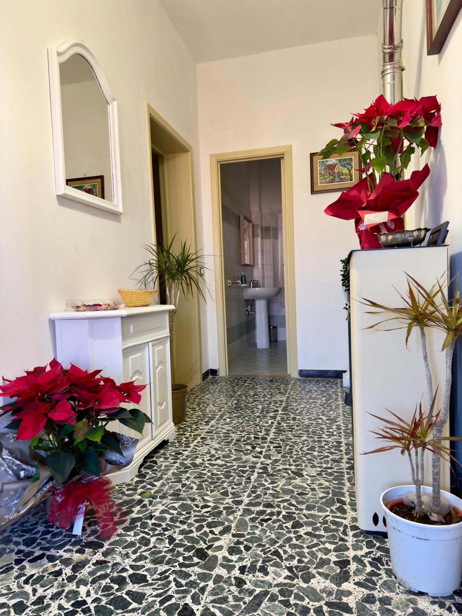 סנטה לוצ'ה Agriturismo La Ghiraia מראה חיצוני תמונה