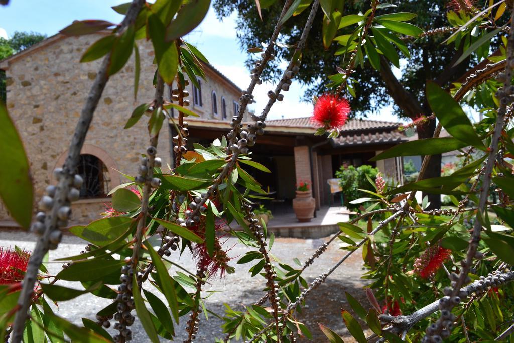 סנטה לוצ'ה Agriturismo La Ghiraia חדר תמונה