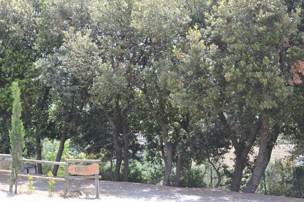 סנטה לוצ'ה Agriturismo La Ghiraia מראה חיצוני תמונה