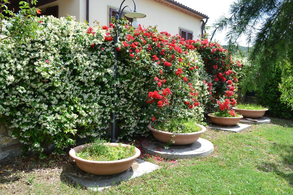 סנטה לוצ'ה Agriturismo La Ghiraia מראה חיצוני תמונה